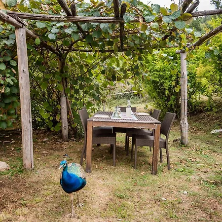 Lavanda Appartement